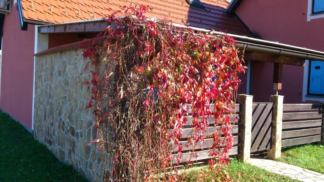 Apartma Geoteh Terme Catez 6032 Villa Krsko Luaran gambar